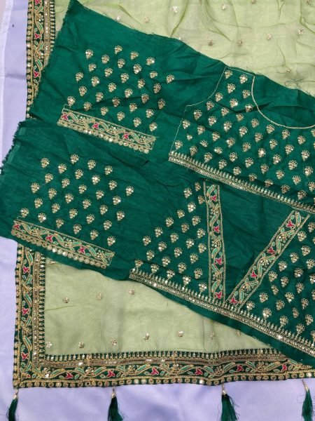 Royal Organza Embroidered Saree with Designer Butti   Lace Border Banglory Silk Festive Wear Textile Exporters Surat Organza Sarees Wholesale