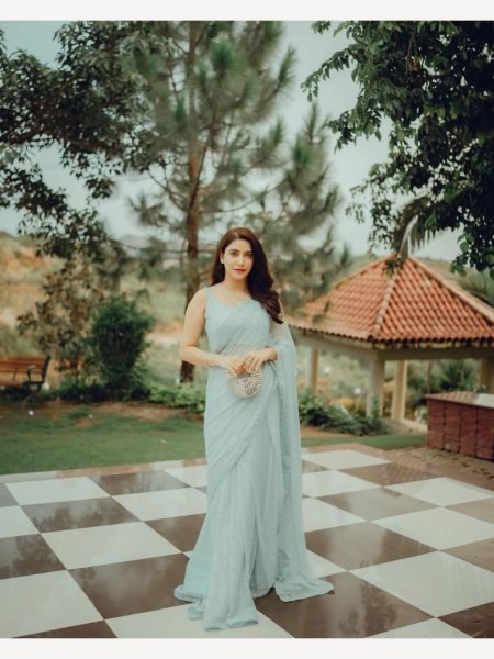 Sky Blue Georgette Saree  Georgette Sarees Wholesale