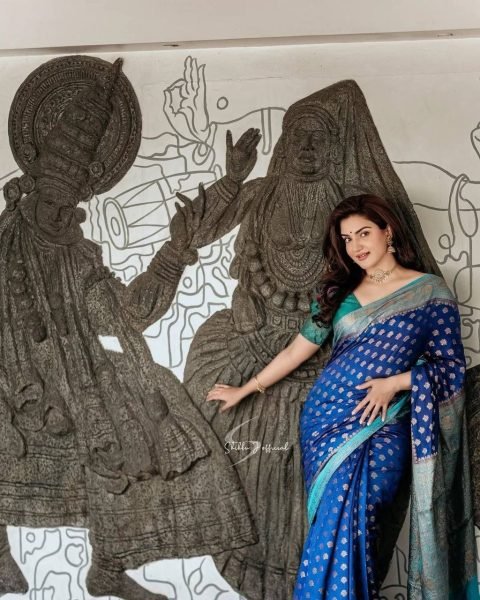 TUNNING ROYALBLUE WITH FIROZI COLOUR PURE SEMI SILK SAREE Banarasi Saree Wholesale