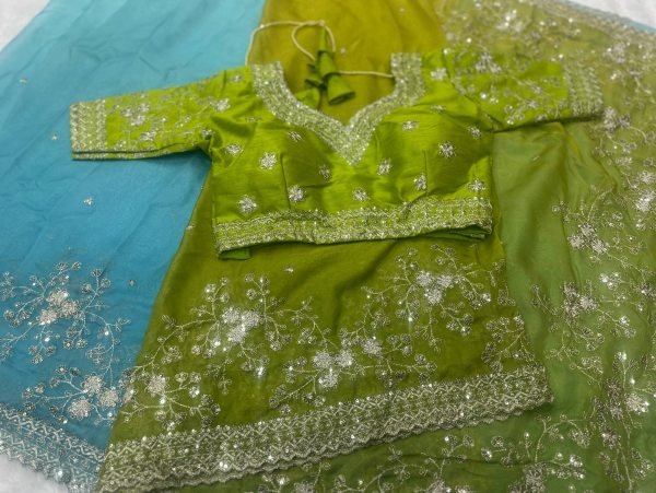 Two Tone Linen Saree with Zari Border and Floral Embroidery at  Wholesale Price  Organza Sarees Wholesale