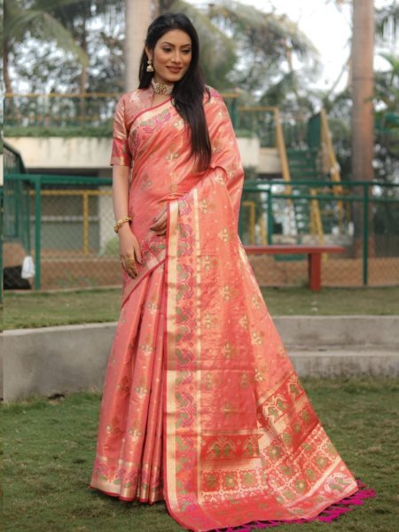Organza sarees wholesale on sale