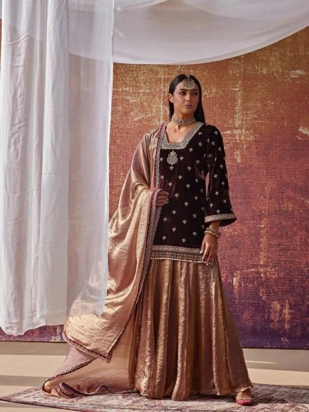 Vibrant Brown Velvet Top &  Fandy Silk Lehenga Palazzo  with Dupatta for Party Wear Shop by Occasion