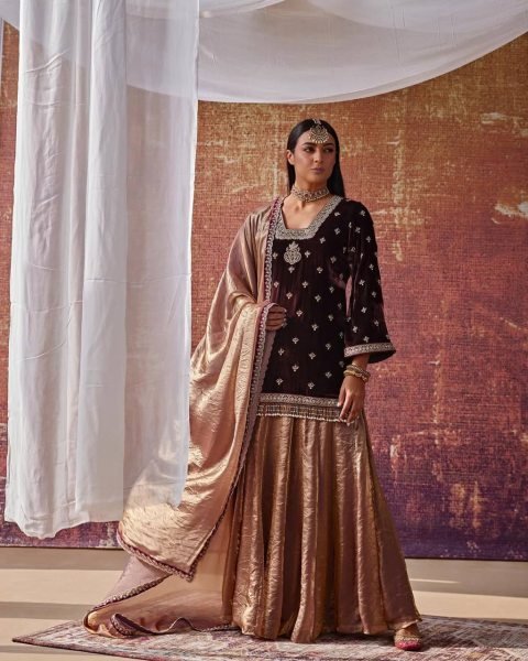 Vibrant Brown Velvet Top &  Fandy Silk Lehenga Palazzo  with Dupatta for Party Wear Ready To Wear Collection