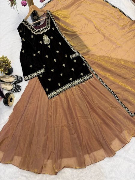 Vibrant Brown Velvet Top &  Fandy Silk Lehenga Palazzo  with Dupatta for Party Wear Ready To Wear Collection