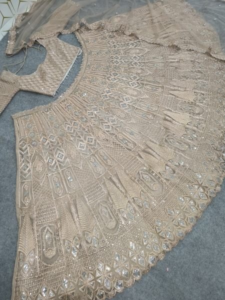 Vintage Peach Heavy Butterfly Net Lehenga with Zari Embroidery and Net Dupatta Designer Lehenga Choli