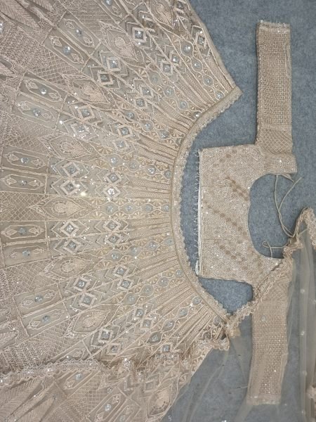 Vintage Peach Heavy Butterfly Net Lehenga with Zari Embroidery and Net Dupatta Designer Lehenga Choli