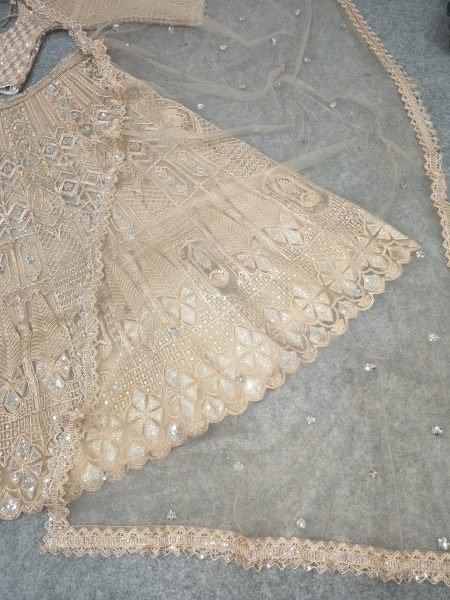 Vintage Peach Heavy Butterfly Net Lehenga with Zari Embroidery and Net Dupatta Designer Lehenga Choli