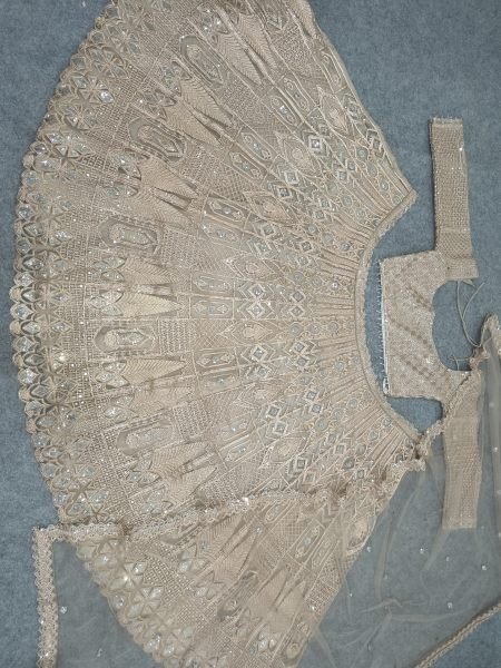 Vintage Peach Heavy Butterfly Net Lehenga with Zari Embroidery and Net Dupatta Designer Lehenga Choli