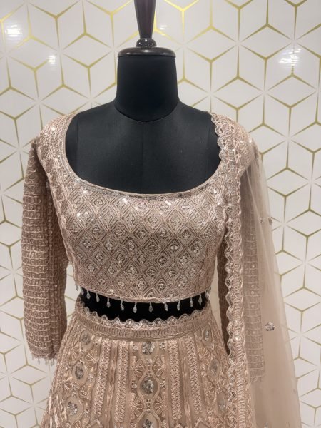 Vintage Peach Heavy Butterfly Net Lehenga with Zari Embroidery and Net Dupatta Designer Lehenga Choli