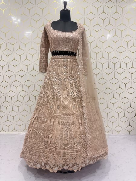 Vintage Peach Heavy Butterfly Net Lehenga with Zari Embroidery and Net Dupatta Designer Lehenga Choli