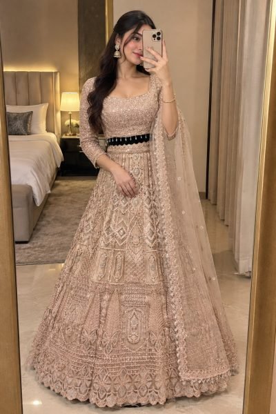 Vintage Peach Heavy Butterfly Net Lehenga with Zari Embroidery and Net Dupatta Designer Lehenga Choli