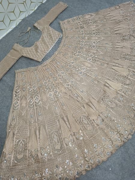 Vintage Peach Heavy Butterfly Net Lehenga with Zari Embroidery and Net Dupatta Designer Lehenga Choli