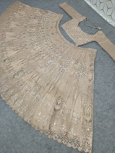 Vintage Peach Heavy Butterfly Net Lehenga with Zari Embroidery and Net Dupatta Designer Lehenga Choli