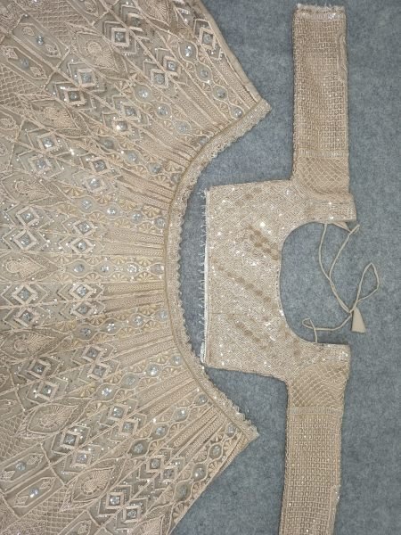 Vintage Peach Heavy Butterfly Net Lehenga with Zari Embroidery and Net Dupatta Designer Lehenga Choli