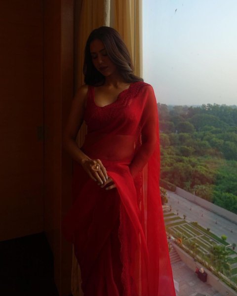 VISCOS ORGANZA SILK WITH EMBROIDERY CUT WORK SAREE Organza Sarees Wholesale