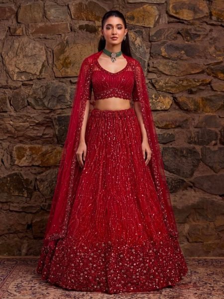 Wedding Red Heavy Net Lehenga with Crystal Beads  Sequins and Zari Embroidery  Lehenga