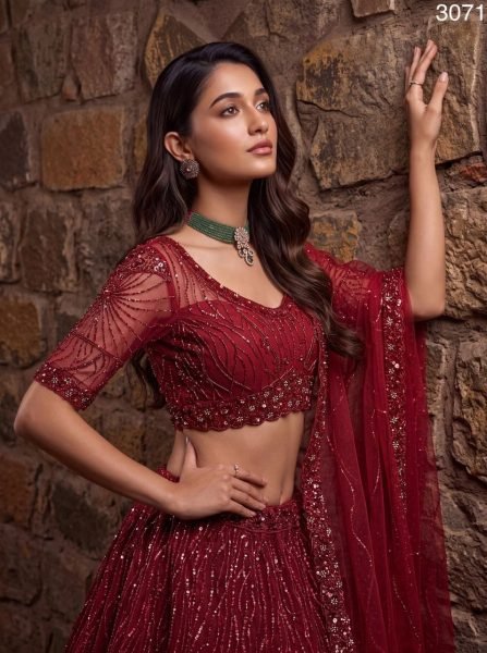 Wedding Red Heavy Net Lehenga with Crystal Beads  Sequins and Zari Embroidery Bridal Lehenga Choli