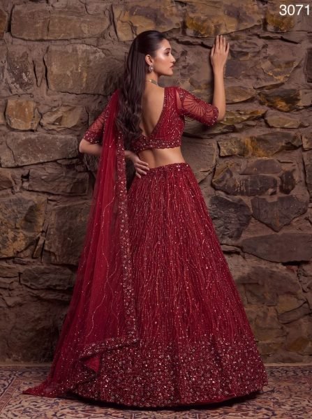 Wedding Red Heavy Net Lehenga with Crystal Beads  Sequins and Zari Embroidery Bridal Lehenga Choli