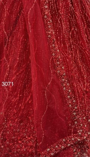 Wedding Red Heavy Net Lehenga with Crystal Beads  Sequins and Zari Embroidery Bridal Lehenga Choli
