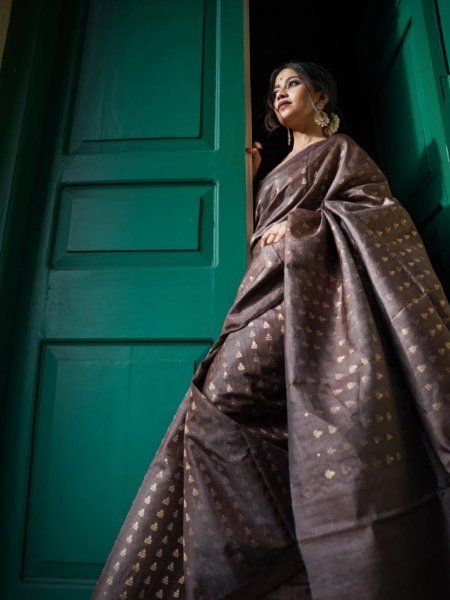 Weddings to Poojas, This Brown Banarasi Silk Saree Brings Pure Traditional Charm Banarasi Saree Wholesale