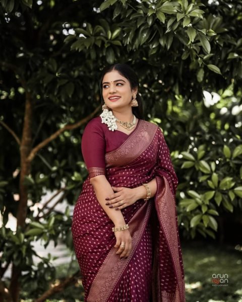 Wine Soft Silk Saree with Designer Blouse Elegant Look for Every Occasion Banarasi Saree Wholesale