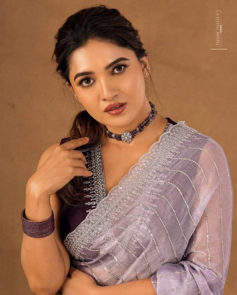 Womens Soft Burberry Embroidery Work Saree With Unstitched Blouse Piece Embroidery Sarees Wholesale